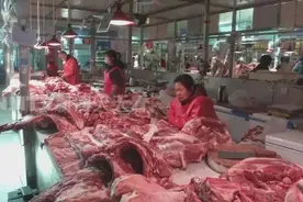 降价明显！呼和浩特市肉、菜、蛋全降价了…图片