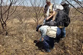 巴西小镇落下数百块陨石，一片价值18万，居民称“天上掉金钱”图片