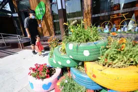 精致东城 | 废旧沙发床垫就地拆解，东城首个城市生态岛投用图片