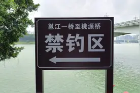 禁止钓鱼，是利大于弊，还是弊大于利呢？图片