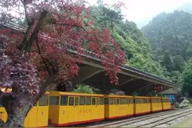 "丽水市旅游攻略——遂昌篇"图片