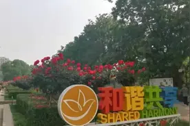 120余种16万余株！石家庄月季公园已花开成海图片