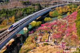 中国西部让人羡慕的3座城市，宜居又宜业，适合旅居养老图片