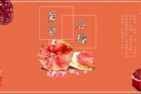 蒙自石榴的简介图片