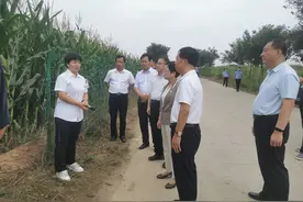陕西省农业农村厅厅长孙矿玲一行来白调研秋粮情况图片