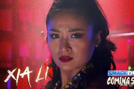 WWE《李霞的故事》第一集图片