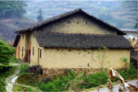 浙江17岁小姑娘捡到宝物，获奖68元，专家：价值超过1000万图片