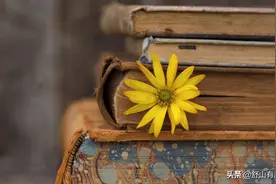 其实，你今生所遇到的，都是上辈子的“因果”图片