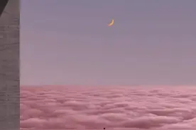 在国企，办公室四大谎言图片