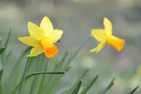 爱情里，一个人不主动联系你，就说明你是可有可无的人吗？图片