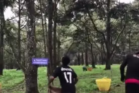 菲律宾采榴莲靠手接，接不住就等着归西图片