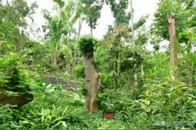 扶风老怪：陇州游记图片