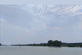 微山湖的一些鱼图片