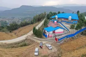 分享一起与企业合作养猪的实例图片