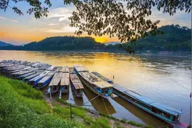 越南大虾“泛滥成灾”，当地人吃都吃不完，想要求中国吃货帮忙图片