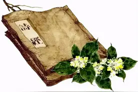 蔚、萧都是蒿，栵是什么？图片