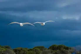 读书，是世上一等好事图片