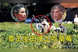 68岁泰王让苏提达采草莓，自己坐在田埂开吃，这小日子过得真蜜图片