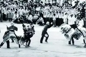 绝密照片，还原百年东莞的真实面目图片