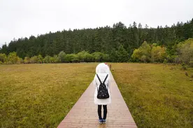 普达措-香格里拉图片
