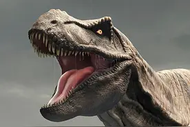 如果地球上突然出现7800万只霸王龙，人类将会遭遇什么灾难？图片