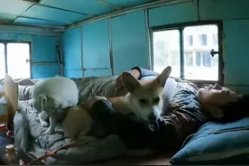 与3只狗同吃同睡，锅碗盆脏到包浆，那个活得最随性的网红小三轮图片