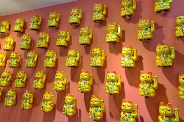 花胶墨鱼猪肚汤 2026年花胶墨鱼汤的做法大全