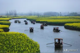 江苏·泰州·兴化图片