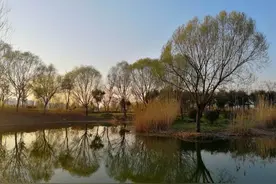 山东微山县出发自驾游最佳景点攻略推荐图片