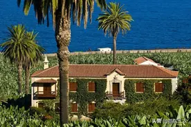 山东省内种植香蕉会怎么样，会不会结香蕉，有无经济意义？图片