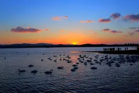 冬天来了，一起去旅行吧！盘点山东境内12条最美自驾线路，你会选择哪条？图片