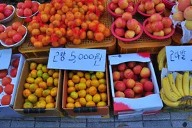 什么是“菜篮子工程”？日韩天价果蔬吓坏国人，幸福生活来之不易图片