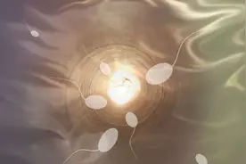 精液中的亚精胺或可用于治疗一种基因缺陷疾病图片