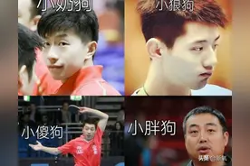 笑死！这些奥运狂野生图，是我可以免费看的吗？图片