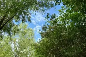 快乐无需远行!邂逅西安地铁一号线沿途风景图片