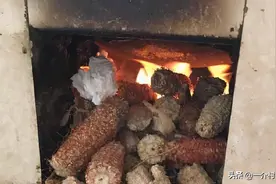 农村有人高价收购玉米芯，每斤两三毛，有啥用？答案来了图片