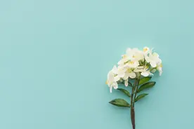 彻底忘记一个人，删除拉黑是下策，这样做才明智图片