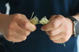 纯红薯粉条的鉴别方法，1看2折3烧4煮，学会再不怕买到假粉条图片