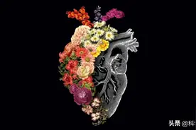 心脏跳动次数有限，跳完了就没命了，所以不要运动和健身？图片