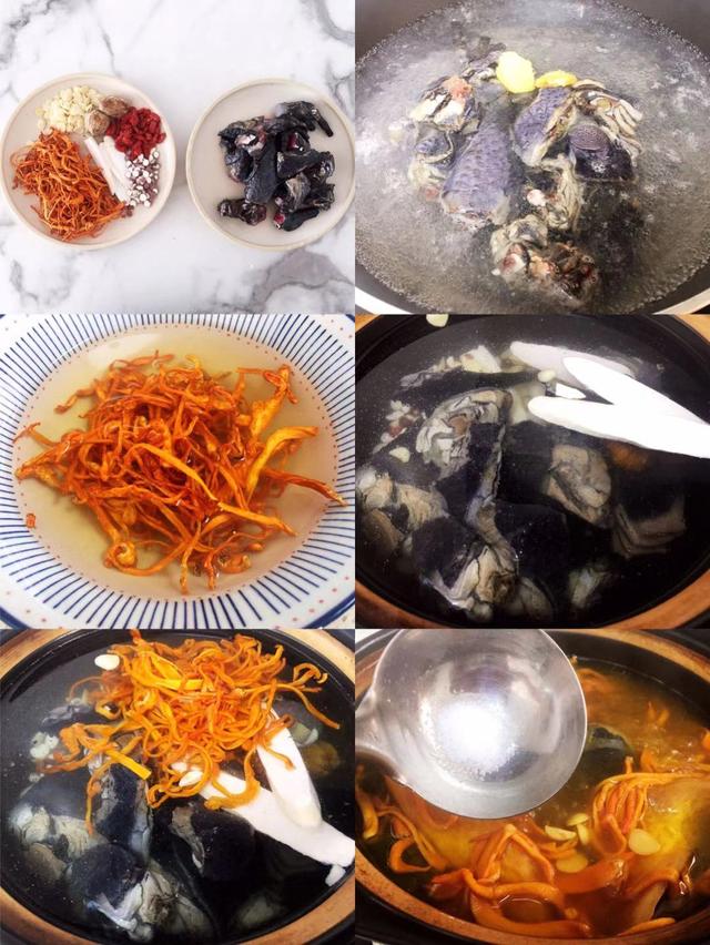 莲子雪儿花胶百合汤 2026年莲子百合花胶汤功效