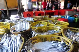 全国哪的带鱼最好吃？经过评选，这5个地方比较出名，有你家乡吗图片