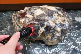 探秘——龙涎香是什么东西图片