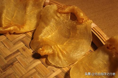 鳘鱼胶多少钱一斤干的 2026年鮸鱼胶多少钱一斤