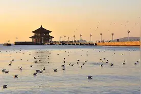 周末海边徜徉，激扬的海鸥、惆然与期待杂糅的情愫图片