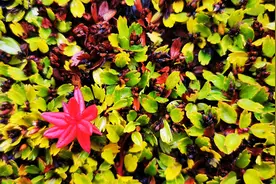 提出涨工资被拒绝，领导说可把我的工作分出去一部分，什么意思？图片