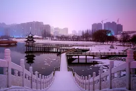 宁夏注册资本超百亿的企业有哪些？宁夏百亿企业盘点图片