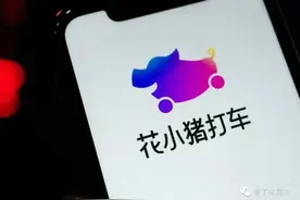 “花小猪”是滴滴的有意为之还是程柳的无心插柳图片