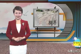 玩水不怕晒！泰安天乐城水世界开园啦图片