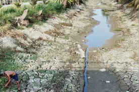 越南今年遭遇历史性旱灾，2020/21年度咖啡产量将面临严重挑战图片