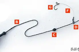 多钩真的比单钩有优势吗？未必，掌握这3点单钩也能上大物图片